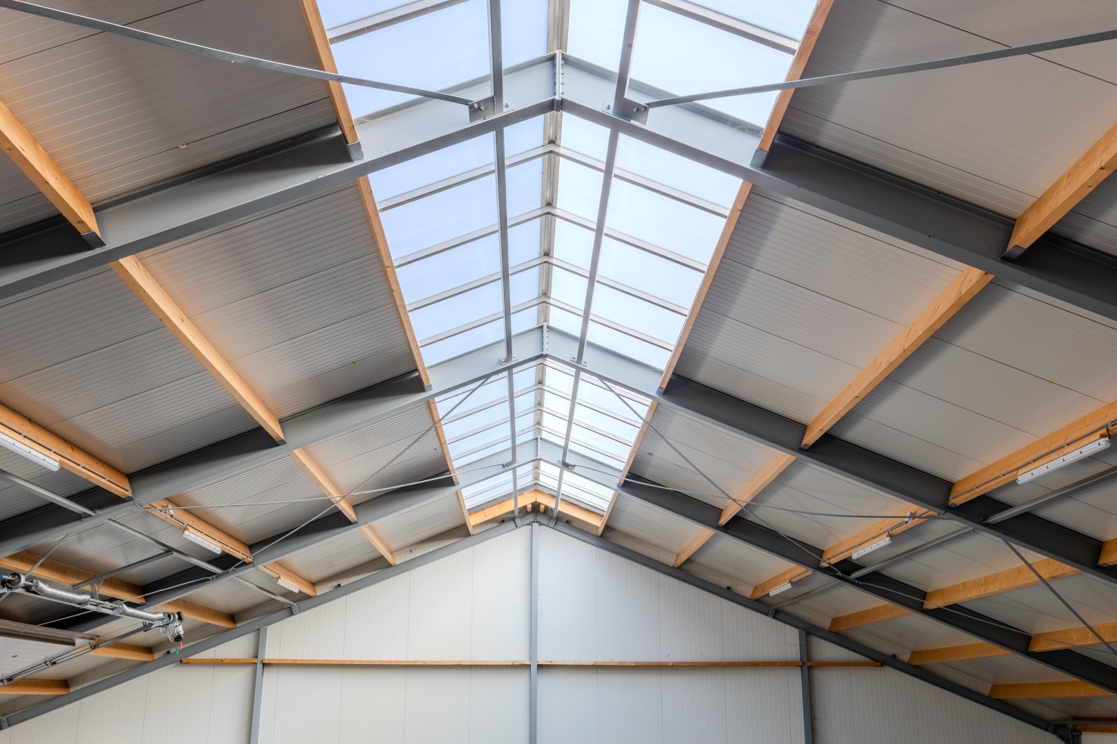 studio sterk staal dongen 9